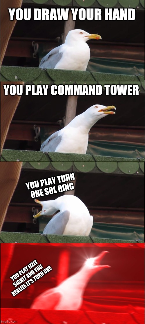 commander mtg memes | YOU DRAW YOUR HAND; YOU PLAY COMMAND TOWER; YOU PLAY TURN ONE SOL RING; YOU PLAY IZZIT SIGNIT AND YOU REALIZE IT'S TURN ONE | image tagged in memes,inhaling seagull | made w/ Imgflip meme maker