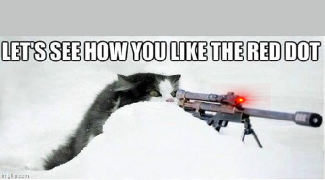 Cant escape the cat | image tagged in hunting,cool cat stroll | made w/ Imgflip meme maker