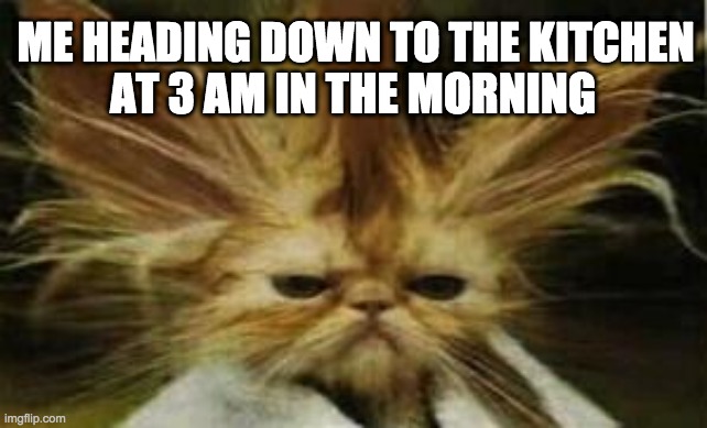 Well well well... | ME HEADING DOWN TO THE KITCHEN; AT 3 AM IN THE MORNING | image tagged in 3am,bad hair day,so true memes | made w/ Imgflip meme maker