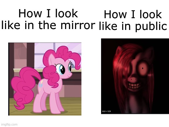 The struggle | How I look like in public; How I look like in the mirror | image tagged in blank white template | made w/ Imgflip meme maker
