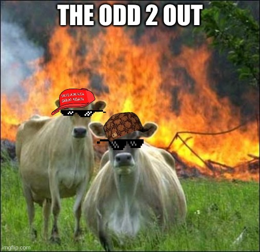Evil Cows Meme | THE ODD 2 OUT | image tagged in memes,evil cows | made w/ Imgflip meme maker