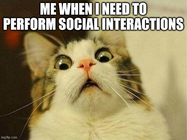 Scared Cat Meme | ME WHEN I NEED TO PERFORM SOCIAL INTERACTIONS | image tagged in memes,scared cat,scared kid,socialism,shit | made w/ Imgflip meme maker