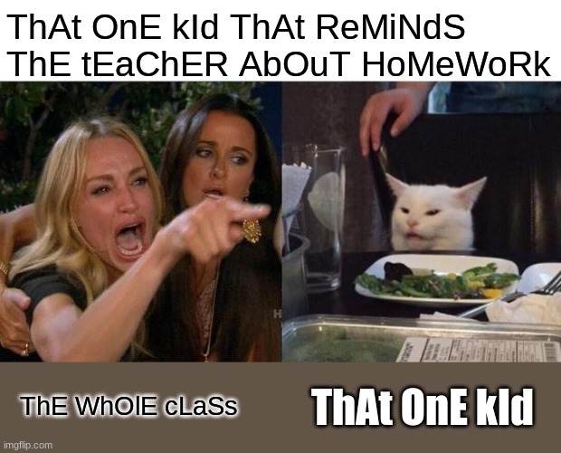 Woman Yelling At Cat | ThAt OnE kId ThAt ReMiNdS ThE tEaChER AbOuT HoMeWoRk; ThE WhOlE cLaSs; ThAt OnE kId | image tagged in memes,woman yelling at cat | made w/ Imgflip meme maker