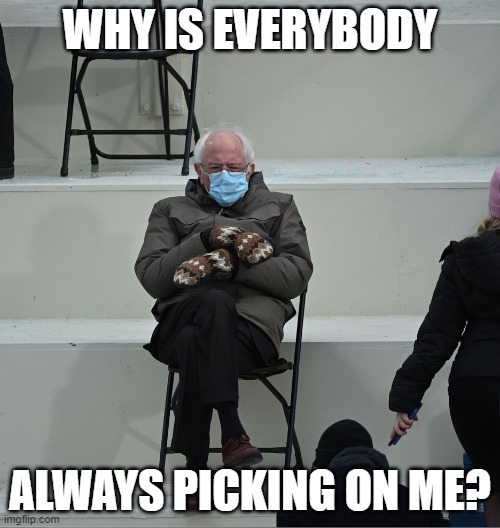 Bernie Mittens | WHY IS EVERYBODY; ALWAYS PICKING ON ME? | image tagged in bernie mittens | made w/ Imgflip meme maker