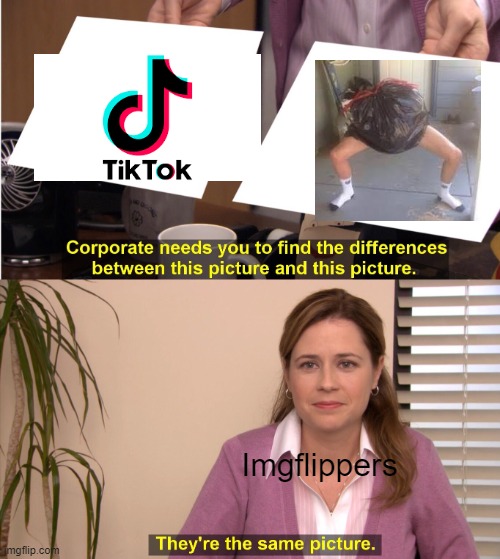 tikok = destruction | Imgflippers | image tagged in memes,they're the same picture | made w/ Imgflip meme maker