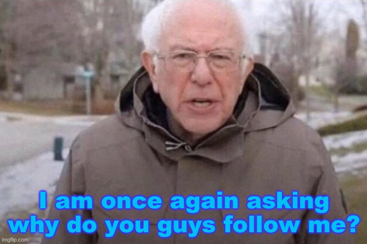 I am once again asking | I am once again asking why do you guys follow me? | image tagged in i am once again asking | made w/ Imgflip meme maker