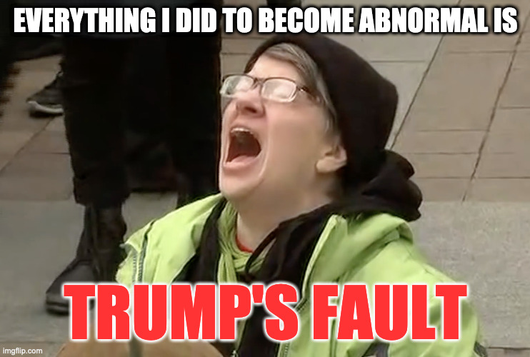 When You Lack Any Redeemable Value | EVERYTHING I DID TO BECOME ABNORMAL IS; TRUMP'S FAULT | image tagged in noooo,protester | made w/ Imgflip meme maker