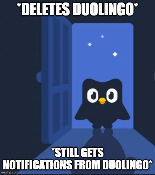 Duolingo bird | *DELETES DUOLINGO*; *STILL GETS NOTIFICATIONS FROM DUOLINGO* | image tagged in duolingo bird | made w/ Imgflip meme maker