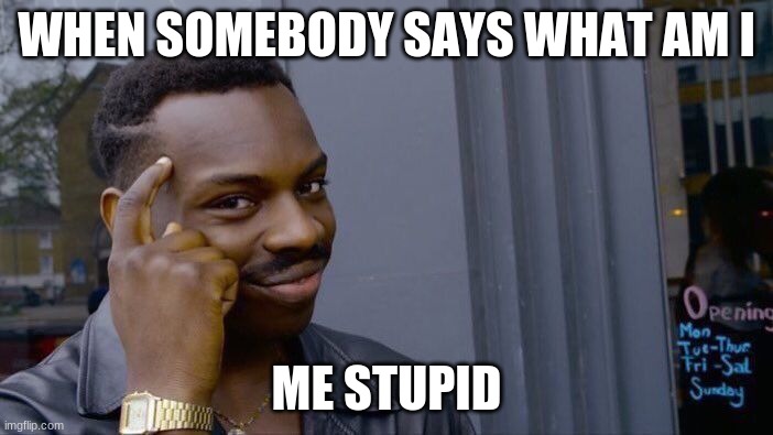 Roll Safe Think About It | WHEN SOMEBODY SAYS WHAT AM I; ME STUPID | image tagged in memes,roll safe think about it | made w/ Imgflip meme maker