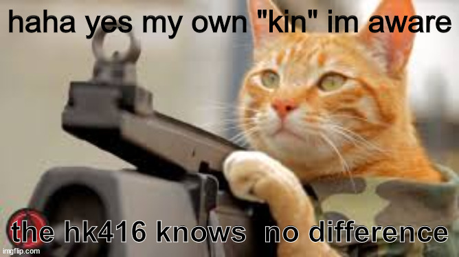 meow. | haha yes my own "kin" im aware; the hk416 knows  no difference | image tagged in cats,guns,not anime | made w/ Imgflip meme maker