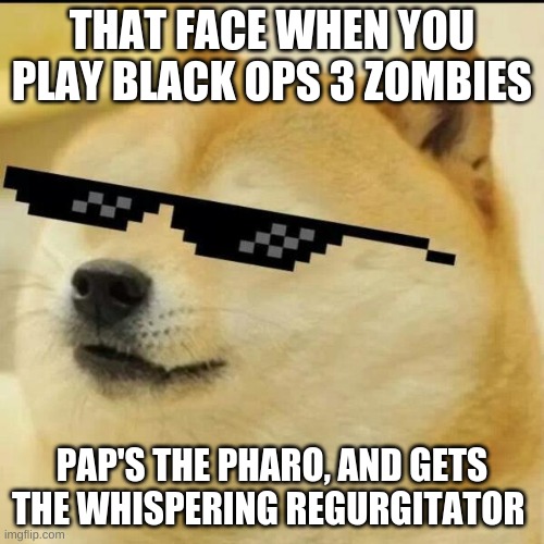 b03 pap weapon meme | THAT FACE WHEN YOU PLAY BLACK OPS 3 ZOMBIES; PAP'S THE PHARO, AND GETS THE WHISPERING REGURGITATOR | image tagged in sunglass doge | made w/ Imgflip meme maker