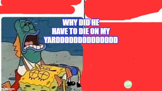 cant come up with title | WHY DID HE HAVE TO DIE ON MY YARDDDDDDDDDDDDDD | image tagged in spongebob | made w/ Imgflip meme maker
