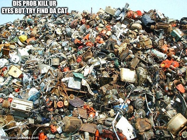 Hehehehehe | DIS PROB KILL UR EYES BUT TRY FIND DA CAT | image tagged in find da cat | made w/ Imgflip meme maker