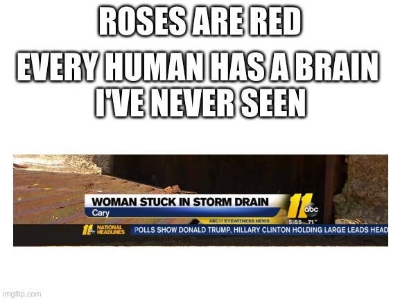 This is the oficial one | ROSES ARE RED; EVERY HUMAN HAS A BRAIN 
I'VE NEVER SEEN | image tagged in blank white template | made w/ Imgflip meme maker