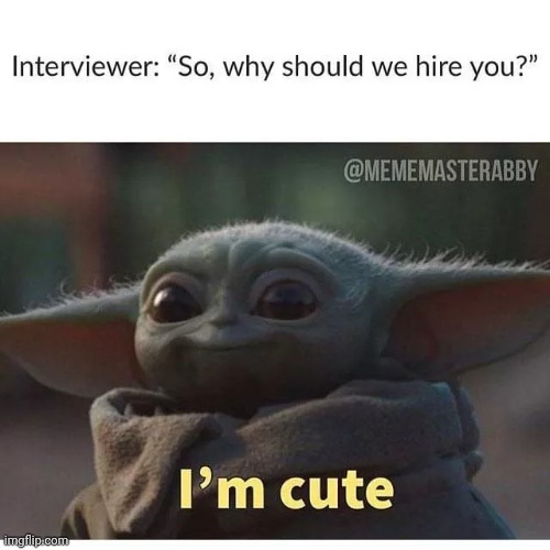 I'm cute | image tagged in cute,baby yoda,job interview | made w/ Imgflip meme maker