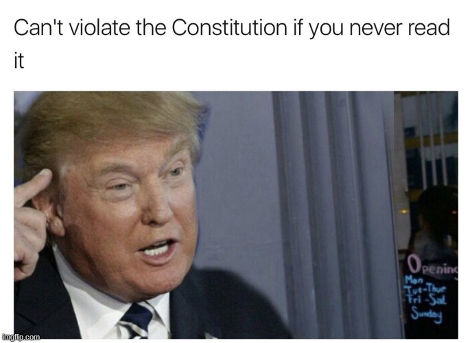 Trump rollsafe | image tagged in roll safe think about it,trump roll safe think about it | made w/ Imgflip meme maker