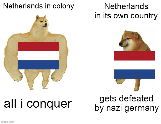 Buff Doge vs. Cheems | Netherlands in colony; Netherlands in its own country; all i conquer; gets defeated by nazi germany | image tagged in memes,buff doge vs cheems | made w/ Imgflip meme maker