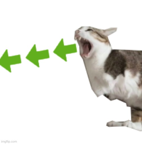 2-Legged Upvote Cat | image tagged in 2-legged upvote cat | made w/ Imgflip meme maker
