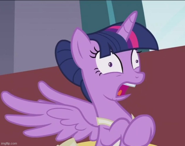 Twilightsparkle panicking | image tagged in twilightsparkle panicking | made w/ Imgflip meme maker