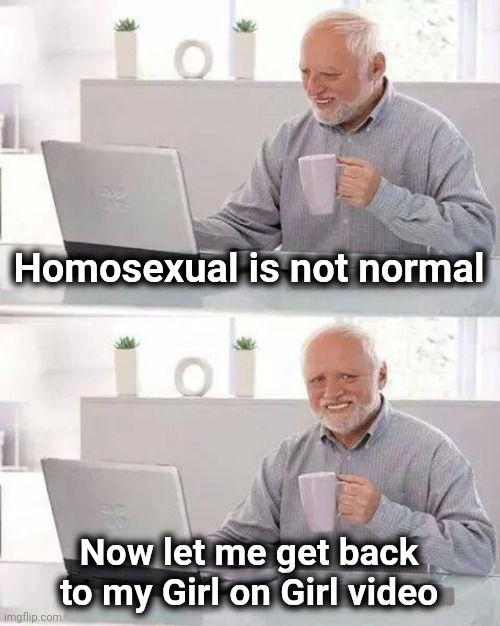 Hide the Pain Harold Meme | Homosexual is not normal Now let me get back to my Girl on Girl video | image tagged in memes,hide the pain harold | made w/ Imgflip meme maker