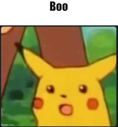 Surprised Pikachu | Boo | image tagged in surprised pikachu | made w/ Imgflip meme maker