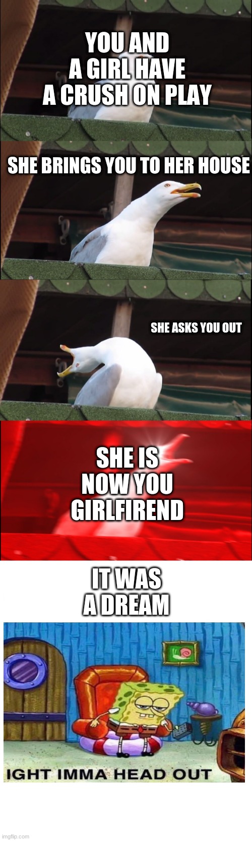 Inhaling Seagull | YOU AND A GIRL HAVE A CRUSH ON PLAY; SHE BRINGS YOU TO HER HOUSE; SHE ASKS YOU OUT; SHE IS NOW YOU GIRLFIREND; IT WAS A DREAM | image tagged in memes,inhaling seagull | made w/ Imgflip meme maker