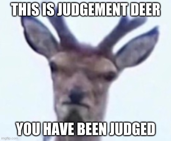 judgement deer | THIS IS JUDGEMENT DEER; YOU HAVE BEEN JUDGED | image tagged in memes | made w/ Imgflip meme maker