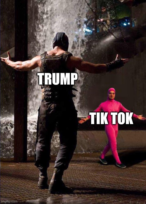 Pink Guy vs Bane | TRUMP; TIK TOK | image tagged in pink guy vs bane | made w/ Imgflip meme maker