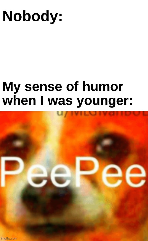 PeePee | Nobody:; My sense of humor when I was younger: | image tagged in blank white template | made w/ Imgflip meme maker