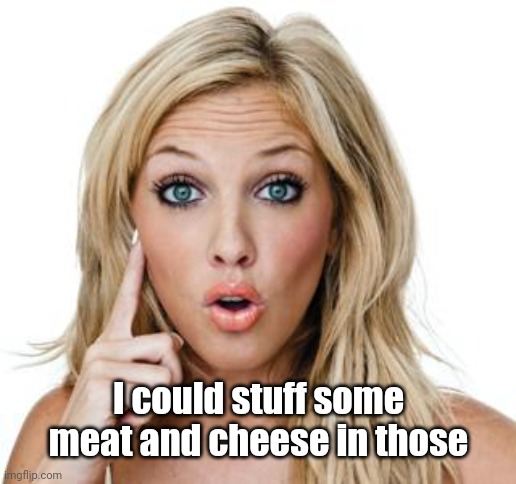 Dumb blonde | I could stuff some meat and cheese in those | image tagged in dumb blonde | made w/ Imgflip meme maker