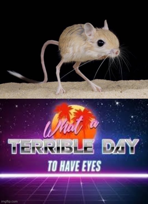 I’m going to pass away! | image tagged in what a terrible day to have eyes | made w/ Imgflip meme maker