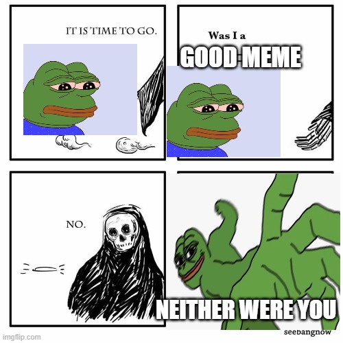 was i a good meme | GOOD MEME; NEITHER WERE YOU | image tagged in was i a good meme | made w/ Imgflip meme maker
