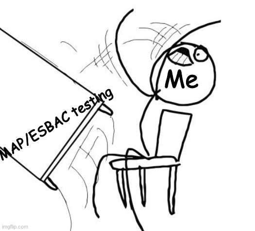 The pain of ESBAC and MAP testing... | Me; MAP/ESBAC testing | image tagged in memes,table flip guy | made w/ Imgflip meme maker