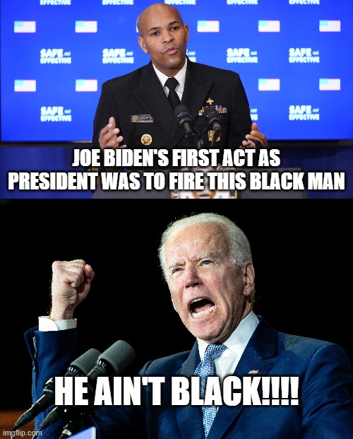 And just like that, all Joe Biden had done was rid us of another straight white male | JOE BIDEN'S FIRST ACT AS PRESIDENT WAS TO FIRE THIS BLACK MAN; HE AIN'T BLACK!!!! | image tagged in joe biden,racist,hypocrite,you ain't black | made w/ Imgflip meme maker