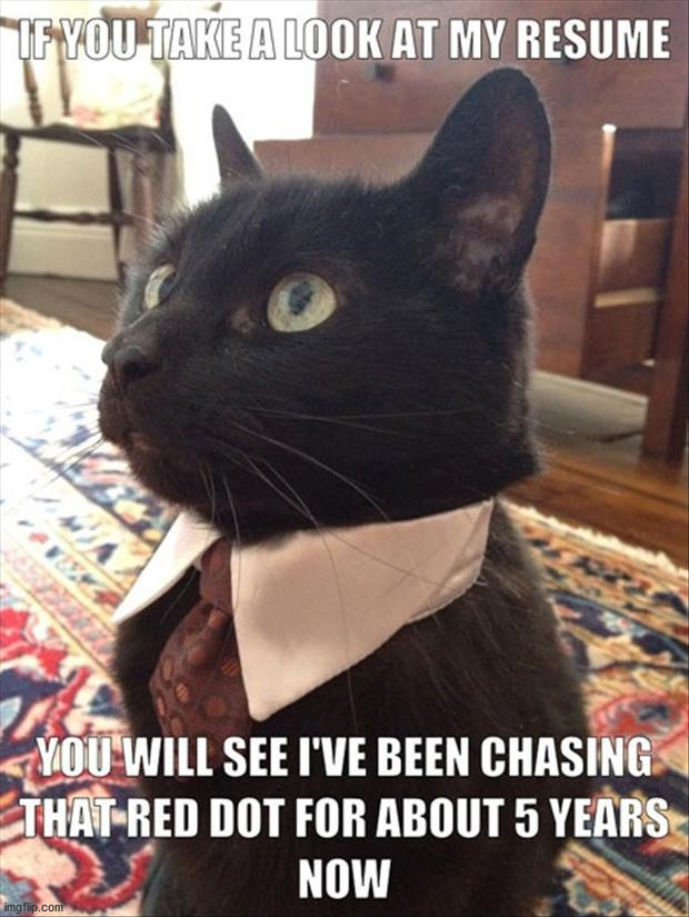 image tagged in cats | made w/ Imgflip meme maker