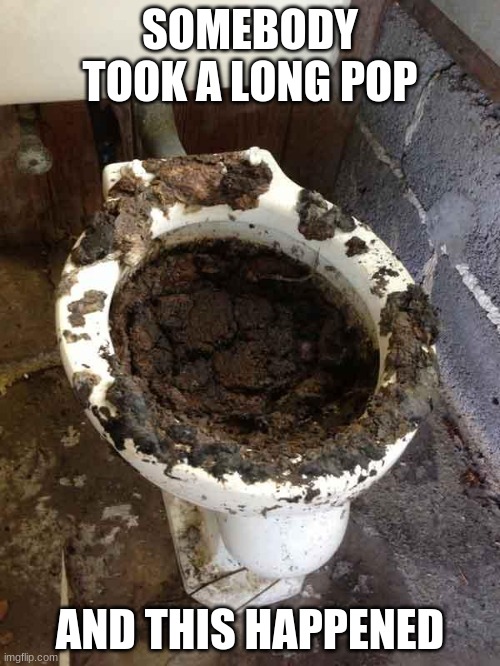 some body took a long po | SOMEBODY TOOK A LONG POP; AND THIS HAPPENED | image tagged in toilet | made w/ Imgflip meme maker