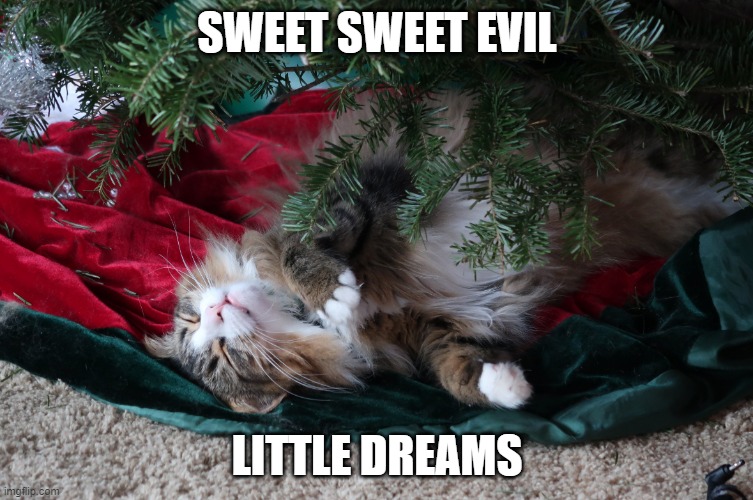 Sweet Sweet evil little dreams | SWEET SWEET EVIL; LITTLE DREAMS | image tagged in sweet sweet evil little dreams | made w/ Imgflip meme maker