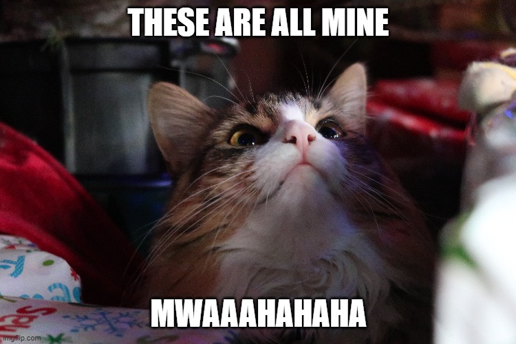 THESE ARE ALL MINE; MWAAAHAHAHA | image tagged in funny cats | made w/ Imgflip meme maker