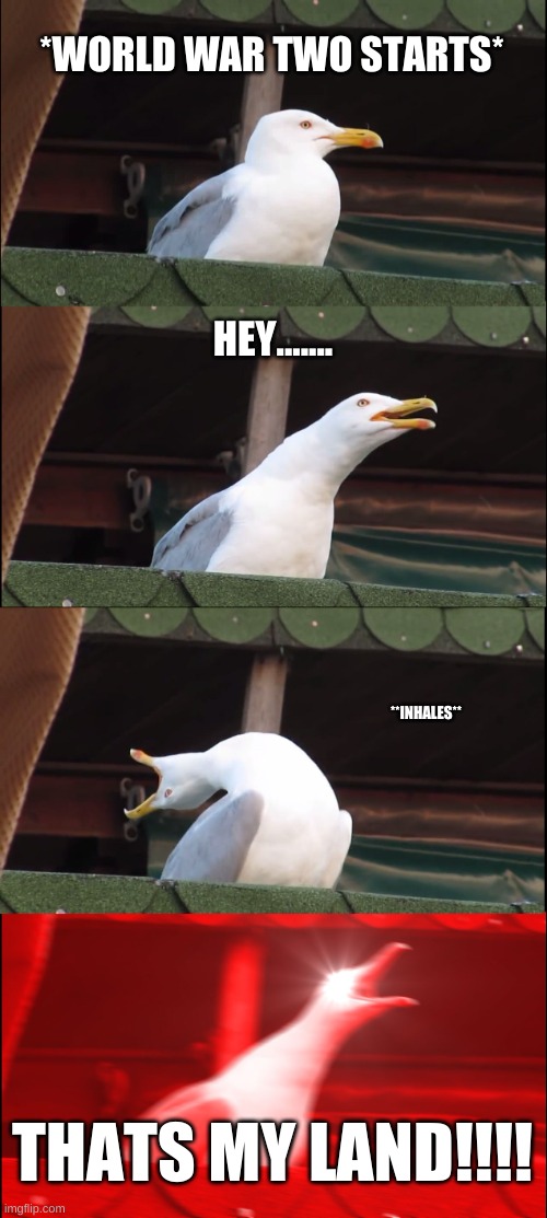 Inhaling Seagull | *WORLD WAR TWO STARTS*; HEY....... **INHALES**; THATS MY LAND!!!! | image tagged in memes,inhaling seagull | made w/ Imgflip meme maker