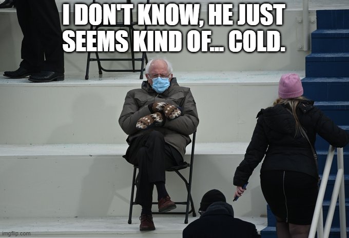 Kind of... cold | I DON'T KNOW, HE JUST SEEMS KIND OF... COLD. | image tagged in bernie sitting | made w/ Imgflip meme maker