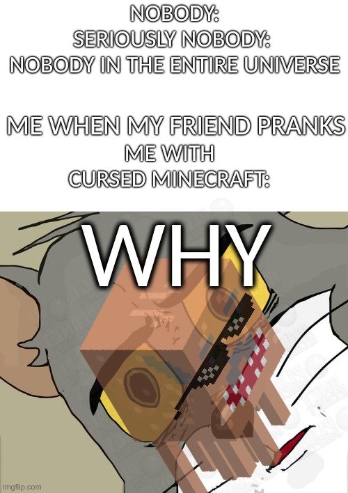 WHY!!!!!!!!!!!!!!!!!!!!!!!!!! | NOBODY:
SERIOUSLY NOBODY: 
NOBODY IN THE ENTIRE UNIVERSE; ME WHEN MY FRIEND PRANKS; ME WITH CURSED MINECRAFT:; WHY | image tagged in memes,unsettled tom | made w/ Imgflip meme maker