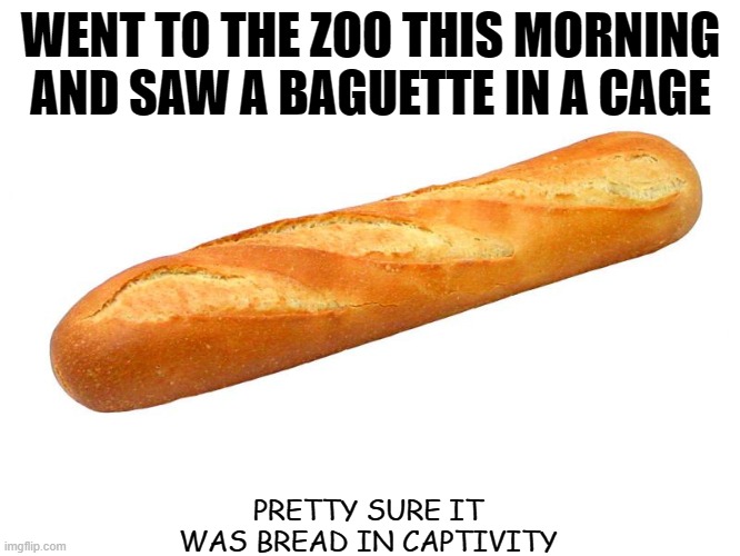 Daily Bad Dad Joke Jan 22 2021 | WENT TO THE ZOO THIS MORNING AND SAW A BAGUETTE IN A CAGE; PRETTY SURE IT WAS BREAD IN CAPTIVITY | image tagged in baguette | made w/ Imgflip meme maker