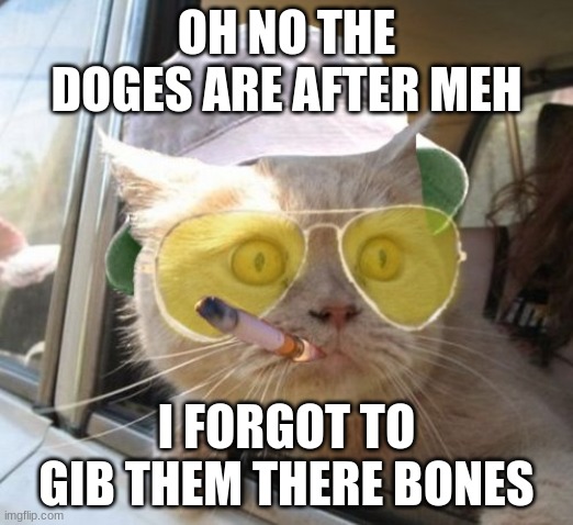 ohnonono | OH NO THE DOGES ARE AFTER MEH; I FORGOT TO GIB THEM THERE BONES | image tagged in memes,fear and loathing cat | made w/ Imgflip meme maker