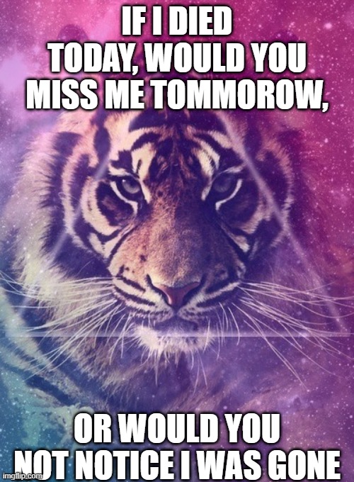 Beautiful Repost, copy and repost to see what people say | IF I DIED TODAY, WOULD YOU MISS ME TOMMOROW, OR WOULD YOU NOT NOTICE I WAS GONE | image tagged in live,no regrets,beauty,inspirational quotes,galaxy,tiger | made w/ Imgflip meme maker