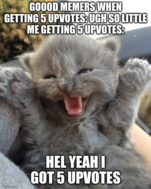 yay i finally hit 5 uptoves on one of my images |  GOOOD MEMERS WHEN GETTING 5 UPVOTES: UGH SO LITTLE
ME GETTING 5 UPVOTES:; HEL YEAH I GOT 5 UPVOTES | image tagged in yay kitty,memes | made w/ Imgflip meme maker
