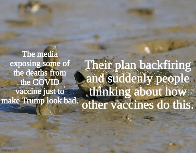 Pog Mudskippers | The media exposing some of the deaths from the COVID vaccine just to make Trump look bad. Their plan backfiring and suddenly people thinking about how other vaccines do this. | image tagged in pog mudskippers,vaccines,covid,trump,media,political meme | made w/ Imgflip meme maker