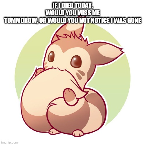 Cute ferret | IF I DIED TODAY, WOULD YOU MISS ME TOMMOROW, OR WOULD YOU NOT NOTICE I WAS GONE | image tagged in cute ferret | made w/ Imgflip meme maker