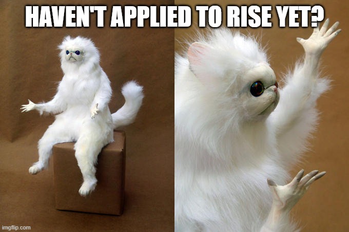 Persian Cat Room Guardian Meme | HAVEN'T APPLIED TO RISE YET? | image tagged in memes,persian cat room guardian | made w/ Imgflip meme maker