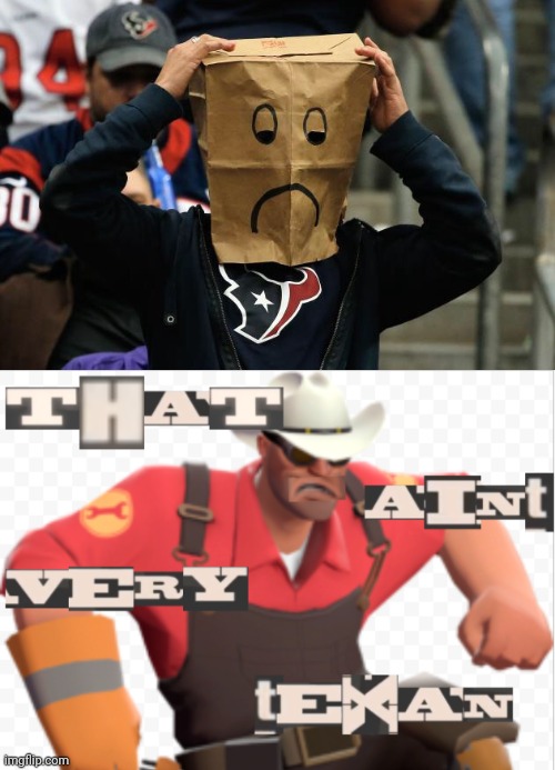 Maybe I'd be better off with a paper bag over my head | image tagged in texans fan,that aint very texan | made w/ Imgflip meme maker