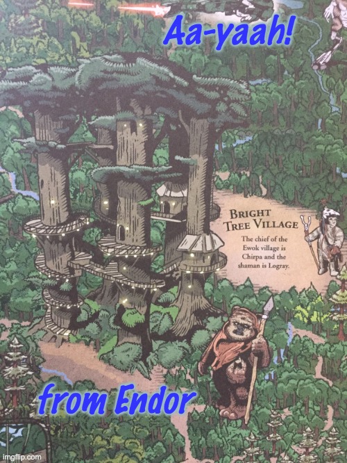 Try the ziplines! | Aa-yaah! from Endor | image tagged in vacation,star wars,endor,ewok | made w/ Imgflip meme maker